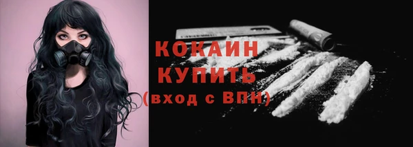 спайс Бородино