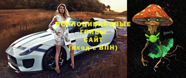 спайс Бородино