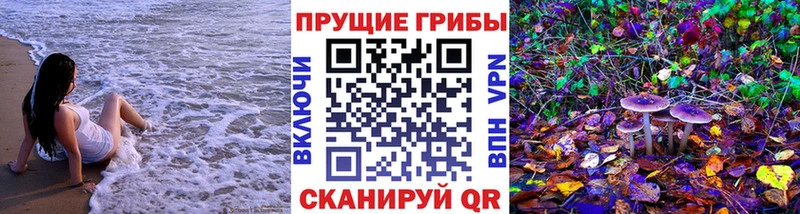 Псилоцибиновые грибы мицелий  закладки  МЕГА онион  Исилькуль 